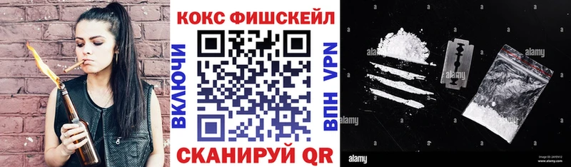 где найти наркотики ссылка на мегу вход Кокаин Fish Scale Вилючинск