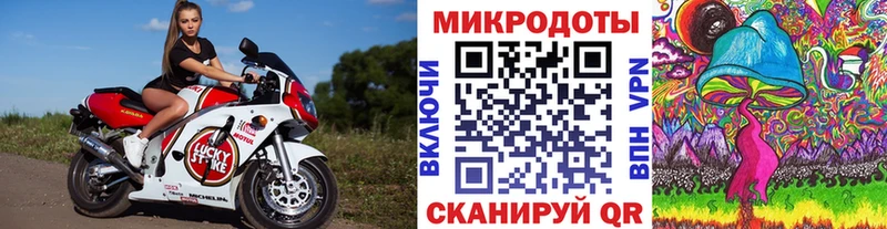 Псилоцибиновые грибы Magic Shrooms  Вилючинск 